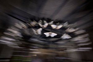 Magic Lantern, 2010 (Teräsrunko, rei