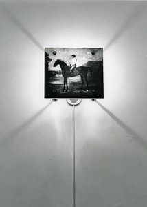 Stubbsin hevoset tekijältä Mat Collishaw