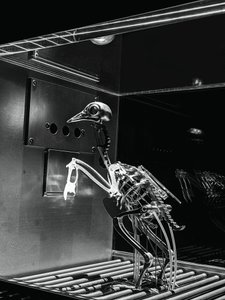 The Machine Zone, 2019 (teräs, alumiini, servomoottorit) tekijältä Mat Collishaw