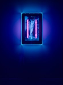 Ultravioletti enkeli, 2008 (Ultraviolettimuste pleksilasilaatikolle, 2 ultraviolettia neonvaloa) tekijältä Mat Collishaw