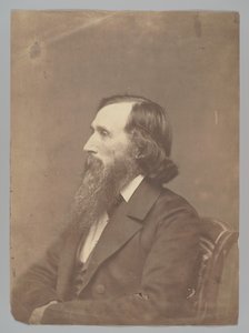 Ambrose Powell Hill tekijältä Mathew B. Brady