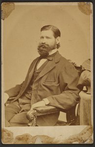 Thomas Davidson Jr. tekijältä Mathew B. Brady