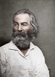 Walt Whitman, yhdysvaltalainen runoilija, 1880-luku.