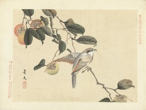Ocell i caqui Esbossos de flors i ocells de Keibun - primera part (títol de la sèrie) Keibun kacho gafu zen pen (títol de la sèrie a l