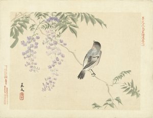 Lintu wisteria oksalla Kukka- ja lintupiirroksia Keibunista - kolmas osa (sarjan nimi) Keibun kacho gafu kohen (sarjan nimi esineessä)