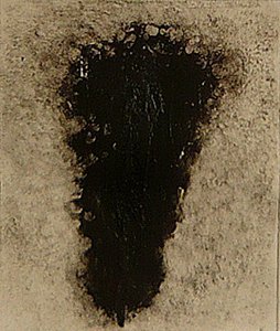 ossie, 2009 (helioprint)