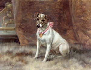 Vaaleanpunainen jousi, 1898