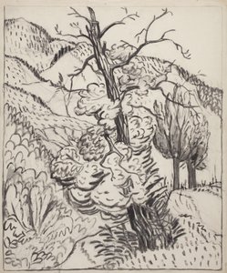 Puu vuorenrinteellä, n.1930 (sivellin, muste ja hiili luonnonvalkoiselle paperiarkille). tekijältä Maud Hunt Squire