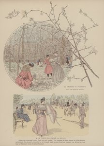 Kuvitus Paris Brillantille (väri litho) tekijältä Maurice Charles Mathieu Bonvoisin