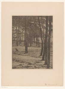 Dennenbosch I (alkuperäinen nimi esineessä) Bos (alkuperäinen nimi)