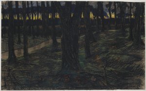 Metsänäkymä auringonlaskun aikaan