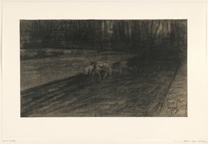 Hevosten kyntäminen