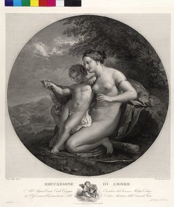 Amorin koulutus