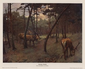 Saksalainen saksanhirvi (värilitografia) tekijältä Max Hunten Hunten