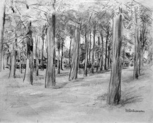 Taloja puiden takana - The Brink 