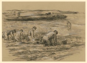 Perunankaivajat Zandvoortissa tekijältä Max Liebermann