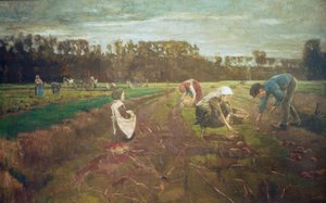 Kartoffelernte Barbizonissa tekijältä Max Liebermann
