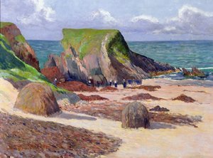 Merilevän korjuu, 1891