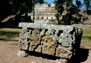 Alttari Q nousevan auringon kuninkaan kruunauksella, 776 jKr tekijältä Mayan