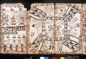 MAYA SIVISTYSTOIMINTA: Codex Tro-Cortesiano, 1400-luvun puoliväli (kuori-kasvikuitu). tekijältä Mayan Mayan