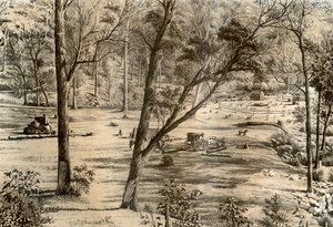 Vapaa valintakota, Australia, 1879