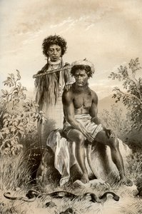Maorit ja mattokäärme, Uusi-Seelanti, 1879