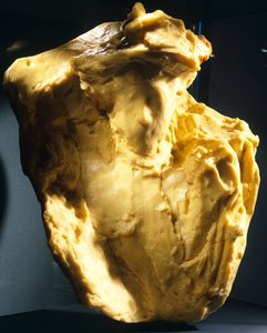 Vedonvälittäjä, Medardo Rosso (1858-1928).