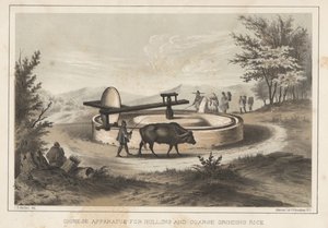 Kiinalainen laite riisin kuorimiseen ja karkeaan jauhamiseen, 1855 tekijältä Meffert