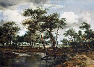 Lampi metsässä, 1668 (öljy tammilevylle)
