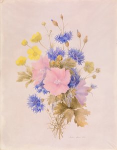 Flors de camp finlandeses tekijältä Melanie Marc