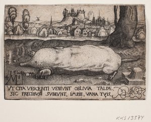 Myyrä tekijältä Melchior Lorck