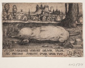 Myyrä tekijältä Melchior Lorck