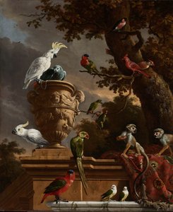 Menagerie Menagerie
