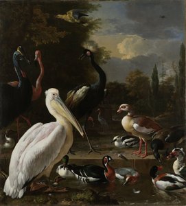 Pelikaani ja muut linnut lähellä uima-allasta, joka tunnetaan nimellä "Floating Feather", n. 1680