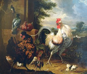 Maatiaiskanat tekijältä Melchior de Hondecoeter