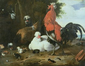 Maatilan linnut kyyhkysten kanssa tekijältä Melchior de Hondecoeter