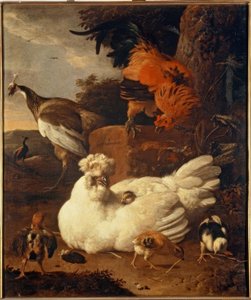 M. de Hondecoeter, Glucke mit Küken tekijältä Melchior de Hondecoeter