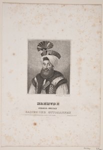 Tanskalainen:  Mahmud II tekijältä Meno Haas