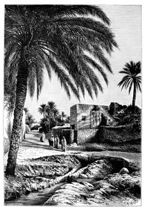 Katu Biskrassa, Algeriassa, 1895.