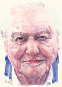 Sir David Attenborough (akvarelli)