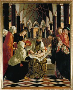 Ympärileikkaus (puu)