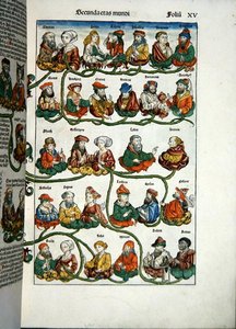 Sukututkimuspuu Hartmann Schedelin (1440-1514) Liber Chronicarum -teoksesta vuodelta 1493 (värillinen puupiirros). tekijältä Michael and Pleydenwurff W. Wolgemuth