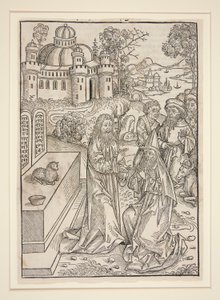 Sivu Stephan Fridolinilta, Aarteenvartija (Nürnburg: Anton Koberger, 1491) tekijältä Michael Wolgemut