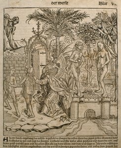 Aatami ja Eeva, kuvitus Hartmann Schedelin (1440-1514) Liber Chronicarum -teoksesta, joka julkaistiin Nürnbergissä vuonna 1493.