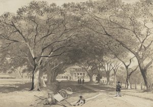 Avenida e entrada para St. James Barracks Finlandês tekijältä Michel Jean Cazabon