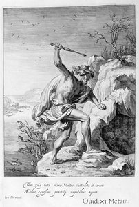Alcyone ja Ceyx muuttuivat linnuiksi, 1655