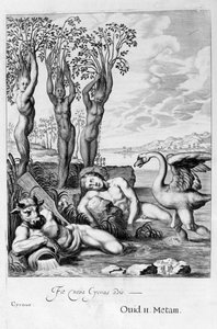 Cygnus muuttui joutseneksi ja Phaetonin sisaret poppeleiksi, 1655