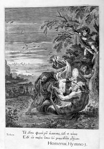 Tithonus, Eossin rakastaja, muuttui heinäsirkkaksi, 1655