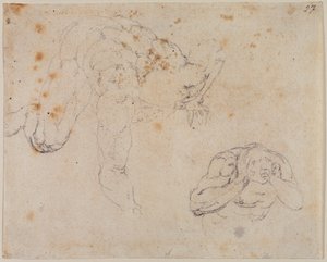 Kopio viimeisestä tuomiosta tekijältä Michelangelo (after) Buonarroti