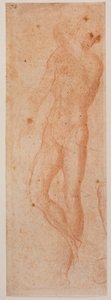 Tutkimukset miespuolisista alastonkuvista tekijältä Michelangelo (after) Buonarroti